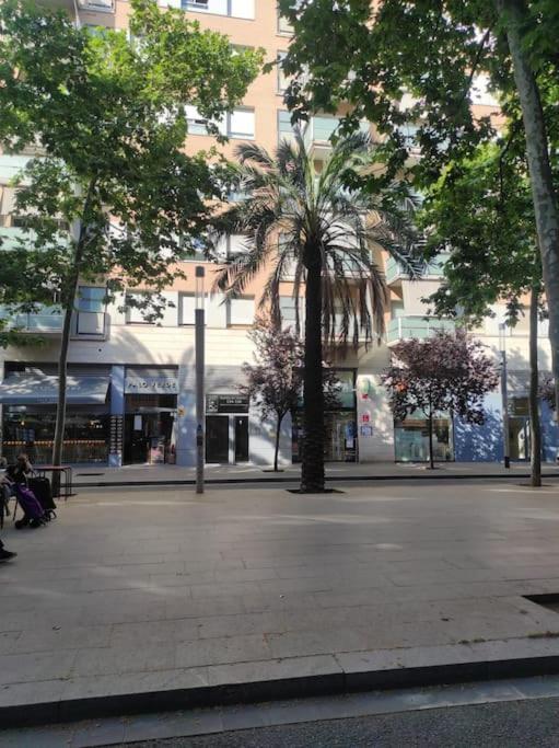 Appartement New! Amazing 2 Bedroom In Rambla Del Poblenou