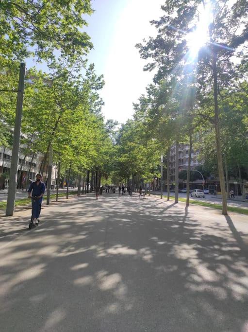 New! Amazing 2 Bedroom In Rambla Del Poblenou Appartement *