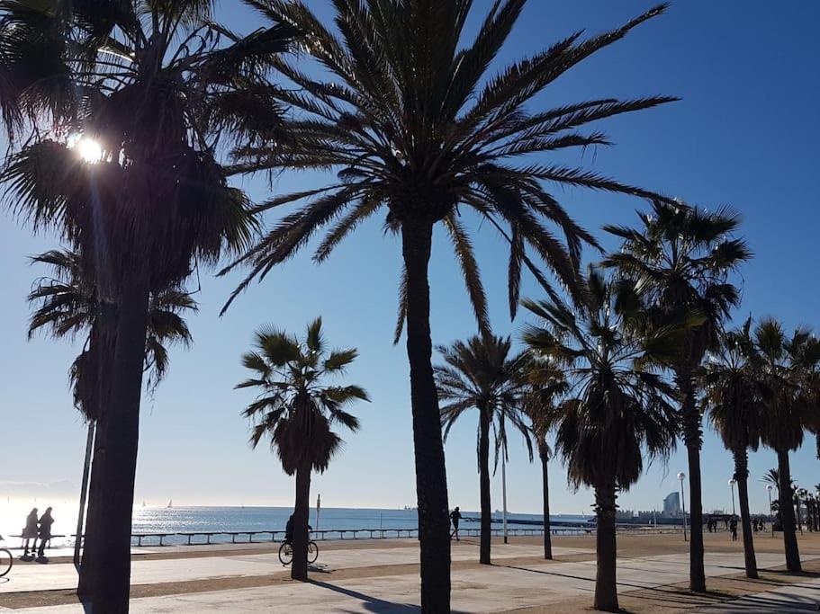 Appartement New! Amazing 2 Bedroom In Rambla Del Poblenou