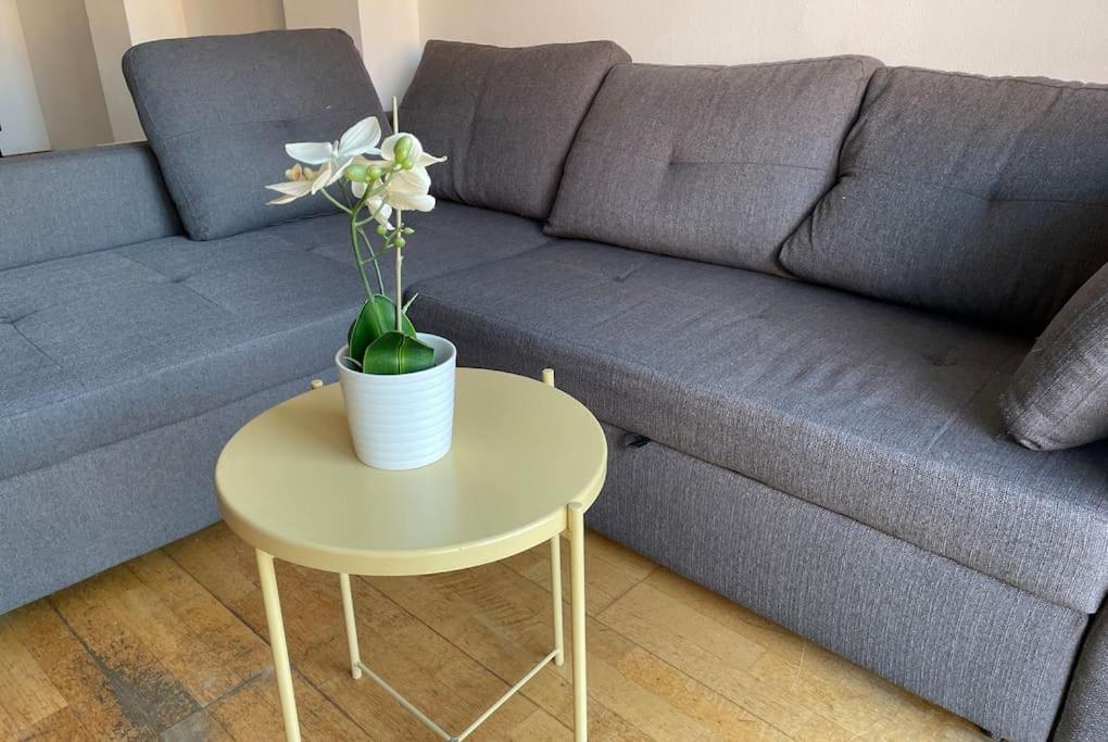 New! Amazing 2 Bedroom In Rambla Del Poblenou Apartament *